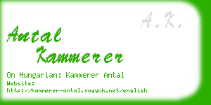 antal kammerer business card